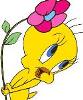 Tweety
